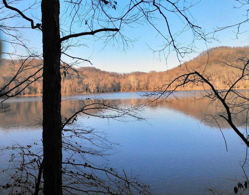 Viewshed Protection: Park visitors to Radnor Lake will not have to worry about future development along this portion of ridgetop view from Otter Creek Road thanks to the partnership between the Cheek Family, Friends of Radnor Lake, The State of Tennessee and the Land Trust of Tennessee in 2015. 