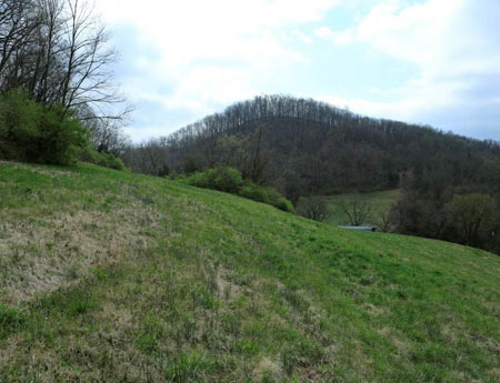 Picture of the Hideaway Tract along the Southwestern Boundary of Radnor Lake State Natural Area 2014. Pix courtesy of Charlie Tallent