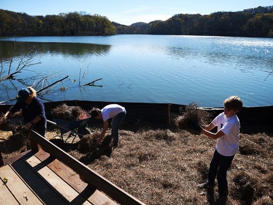 Harding Academy students like Parker Wainwright, right, help spread mulch down at Radnor Lake State Natural Area's new observation deck on Friday, Nov. 13, 2015 (Photo: Shelley Mays/The Tennessean)