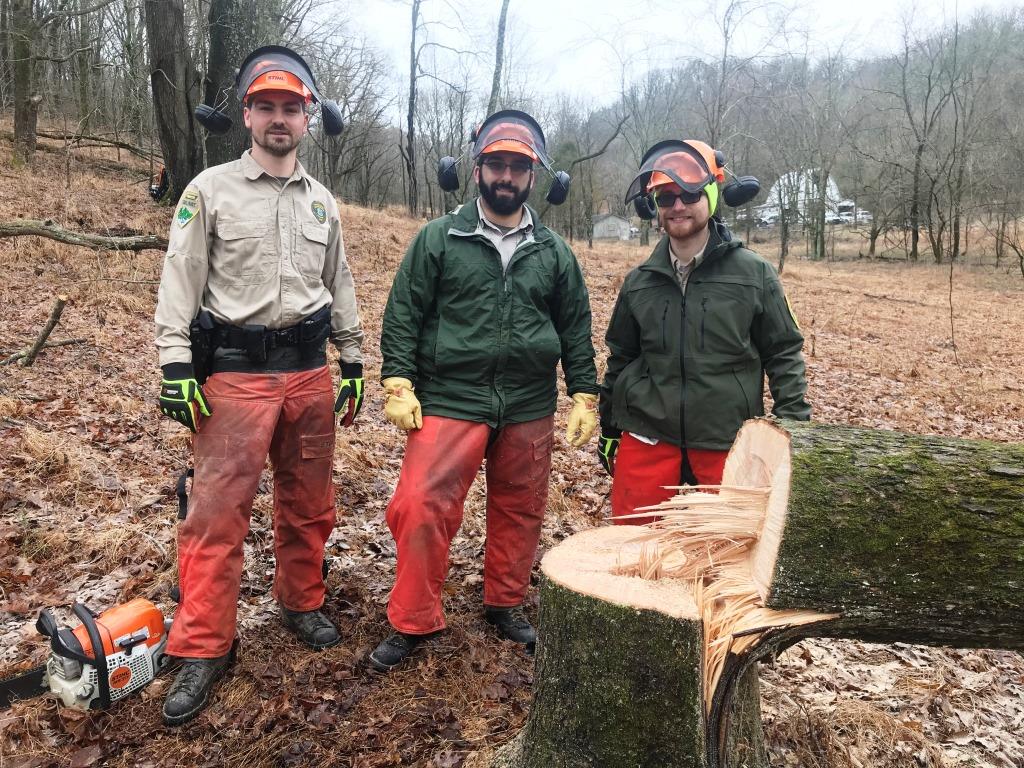 S 212 chainsaw course
